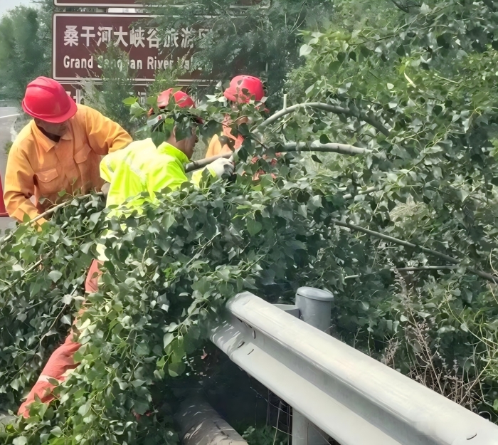 养护分公司张家口分中心宣化养护队：快速清障倒伏大树，护航高速安全畅通