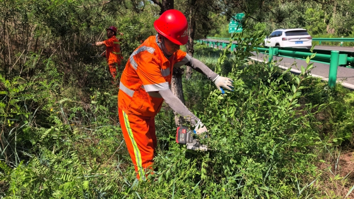 精细整治路域环境 提质绿化美颜公路—养护分公司张家口分中心张家口养护队扎实开展路域绿化专项整治工作1